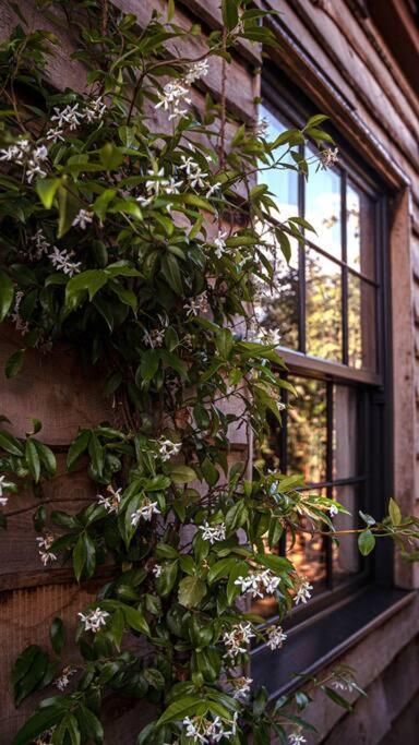 The Coach House In The Heart Of Bishopston Apartamento *